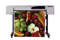 Широкоформатни принтери и плотери » Плотер HP DesignJet 500ps (42")